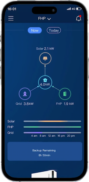 FranklinWH Monitoring