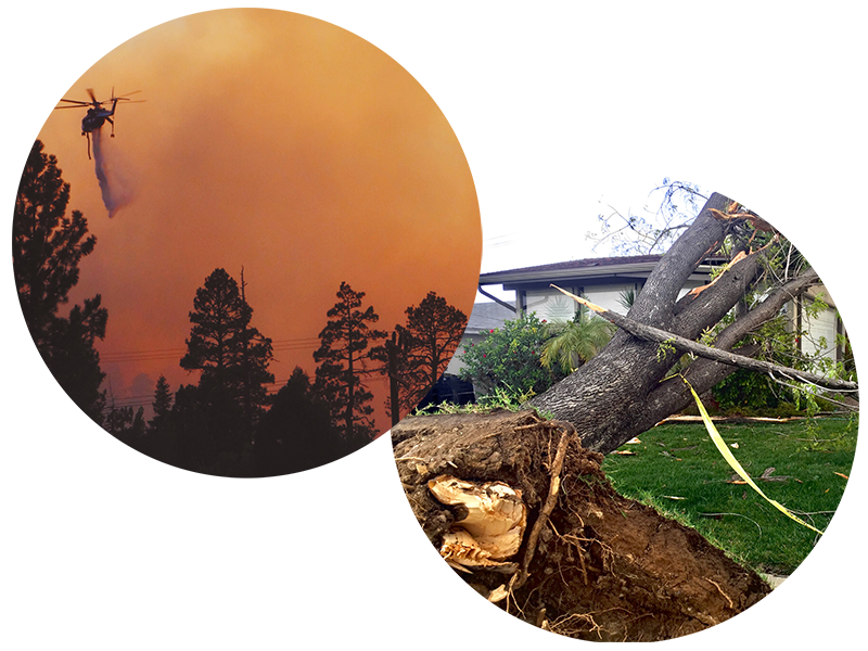Natural Disasters